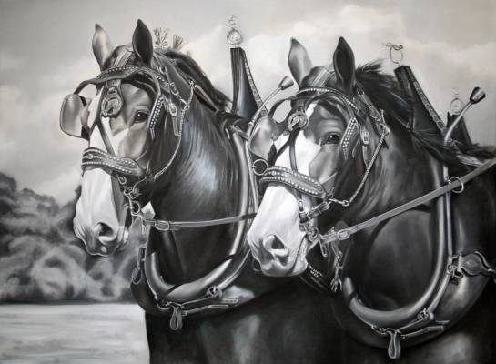 Work currently in progress. Oil painting depicting the front pair of a team of four driving horses