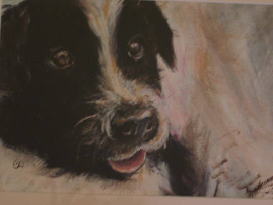 Acrylic painting of our new Collie pup.