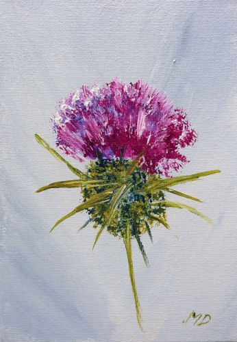 The Thistle - 5" x 7"